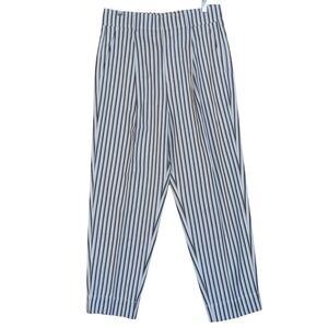 Everlane Striped High Waisted Pleated Barrel Leg Pants Chic Quiet Luxury Women 8